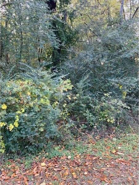 0.12 Acres of Residential Land for Sale in Florence, Alabama