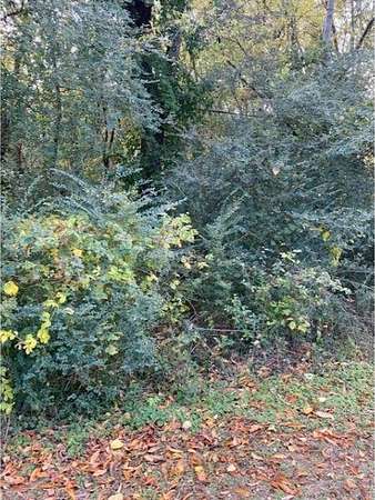 0.12 Acres of Residential Land for Sale in Florence, Alabama