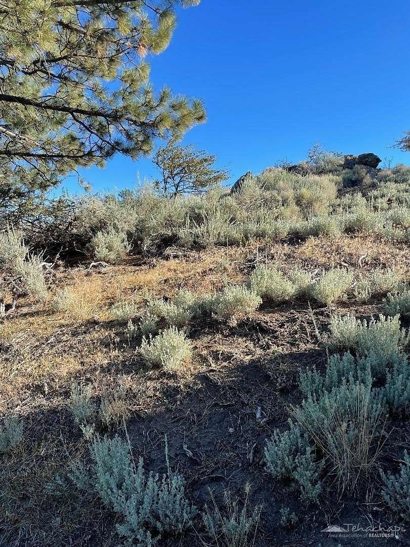 1.3 Acres of Land for Sale in Tehachapi, California