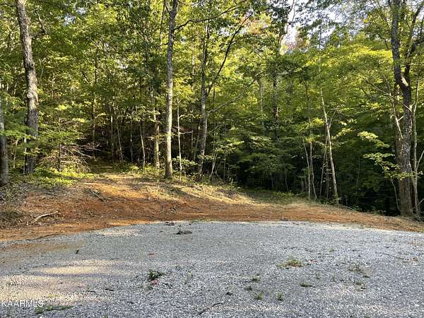 53.5 Acres of Recreational Land for Sale in Winfield, Tennessee