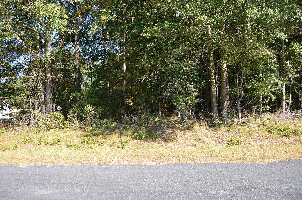 0.67 Acres of Residential Land for Sale in Manning, South Carolina