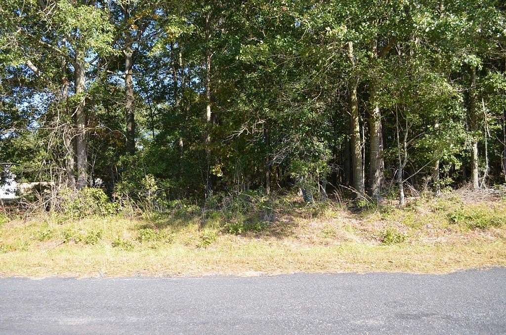 0.67 Acres of Residential Land for Sale in Manning, South Carolina