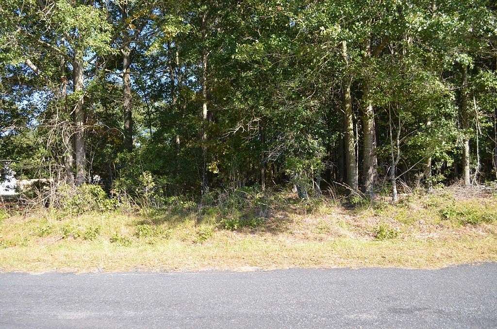 0.67 Acres of Land for Sale in Manning, South Carolina