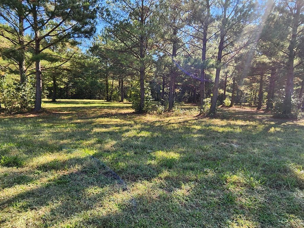 0.3 Acres of Residential Land for Sale in Roanoke Rapids, North Carolina