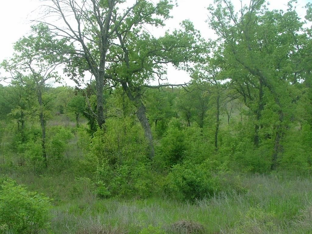 1.3 Acres of Land for Sale in Chico, Texas