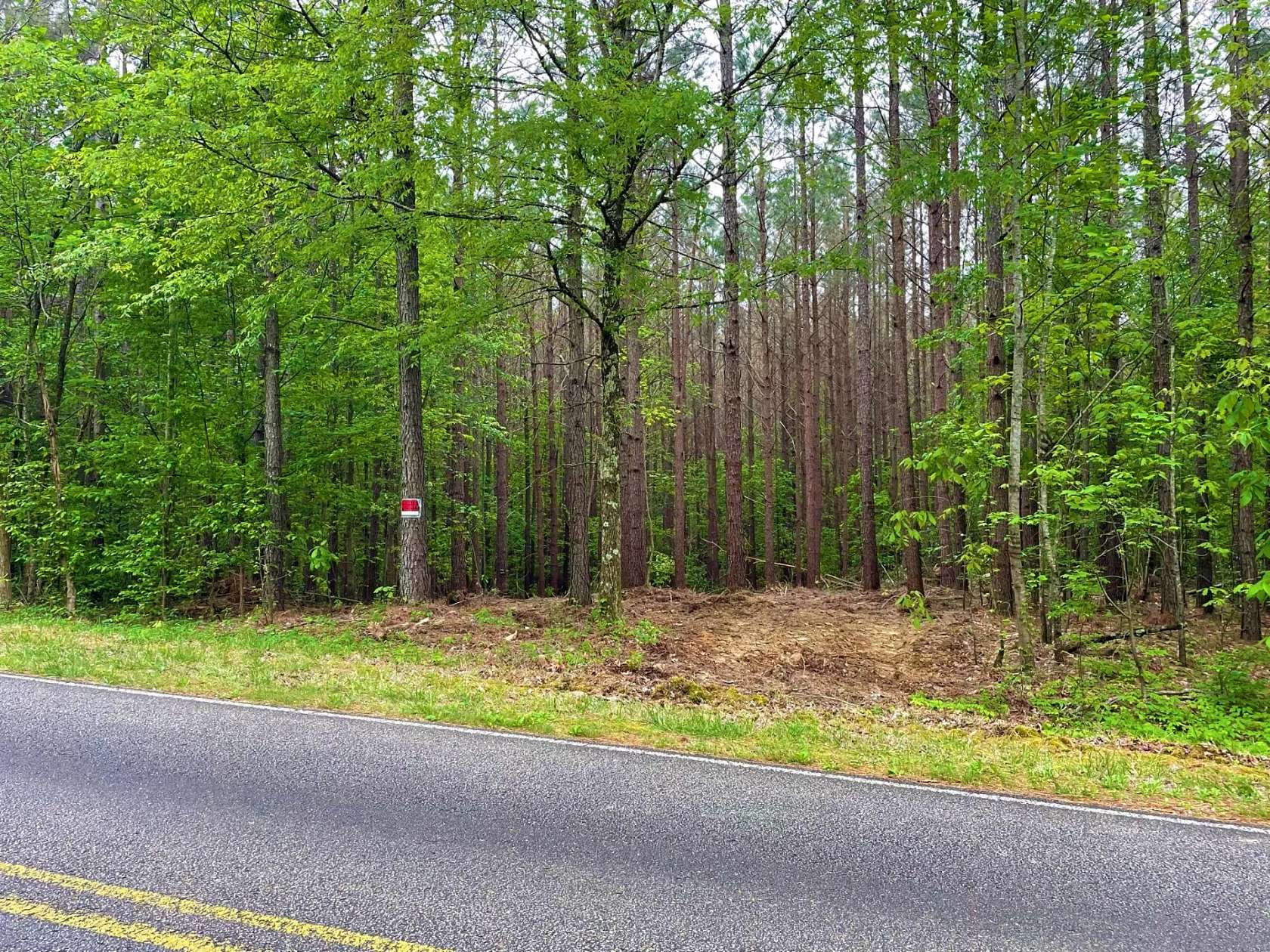 22 Acres of Recreational Land for Sale in Henderson, Tennessee