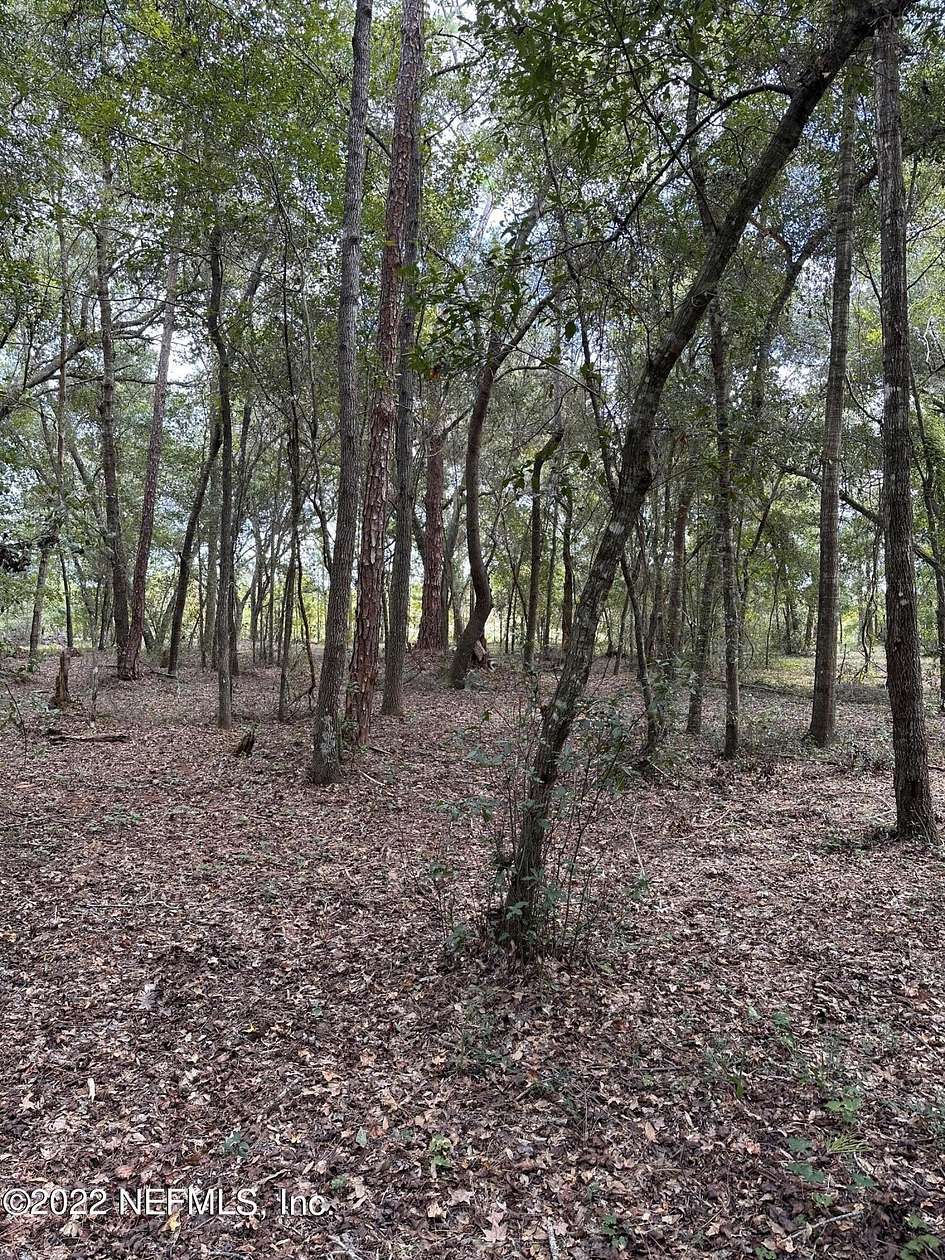 2 Acres of Residential Land for Sale in Umatilla, Florida