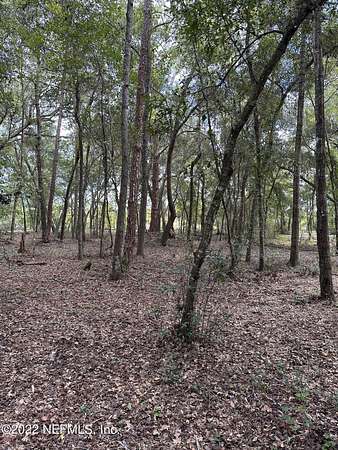 2 Acres of Residential Land for Sale in Umatilla, Florida