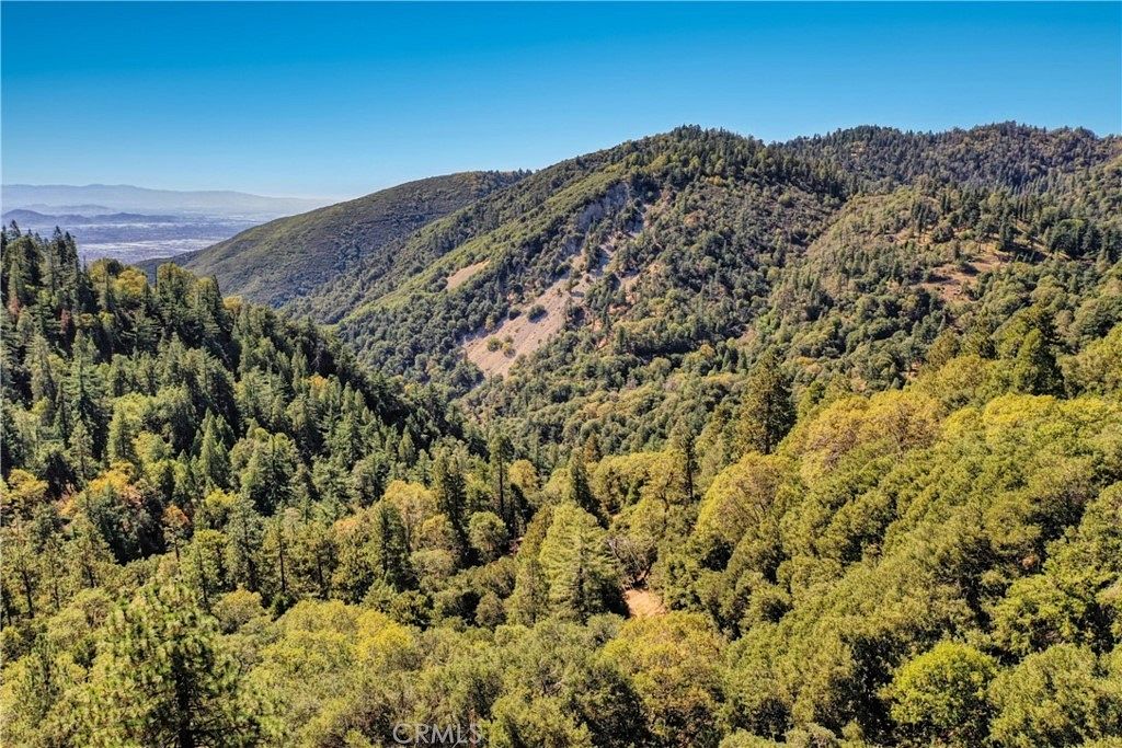 0.77 Acres of Residential Land for Sale in Cedarpines Park, California