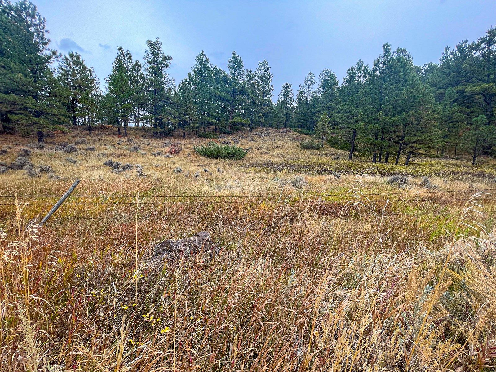 7.6 Acres of Land for Sale in Landusky, Montana - LandSearch