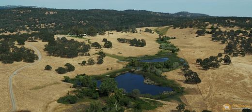 257 Acres of Improved Agricultural Land for Sale in Marysville, California