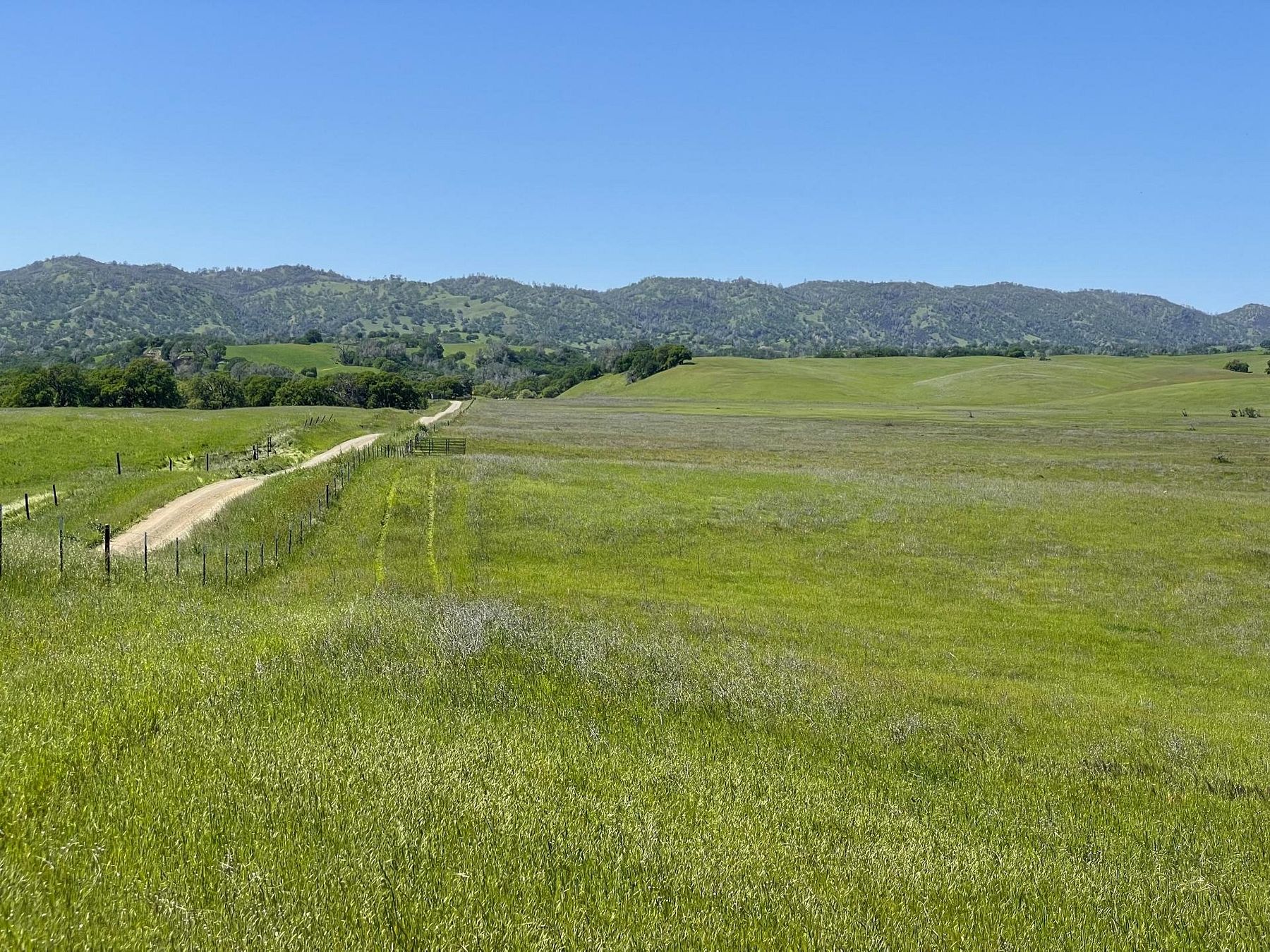 240 Acres of Recreational Land & Farm for Sale in Esparto, California