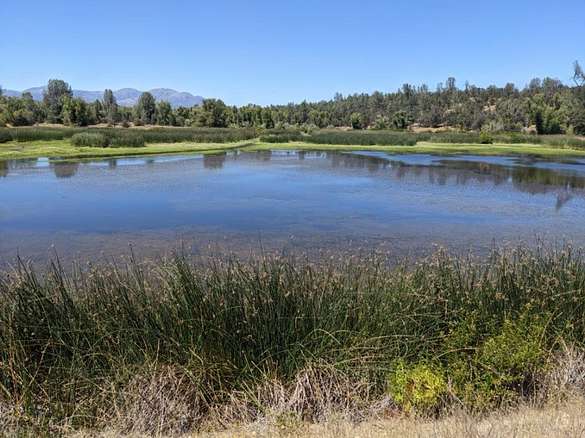 1,796 Acres of Recreational Land & Farm for Sale in Cottonwood, California