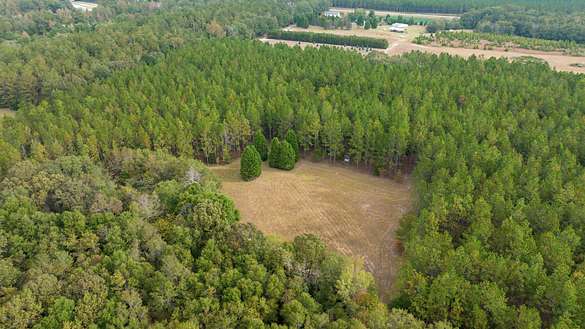 243 Acres of Recreational Land & Farm for Sale in Macon, Georgia