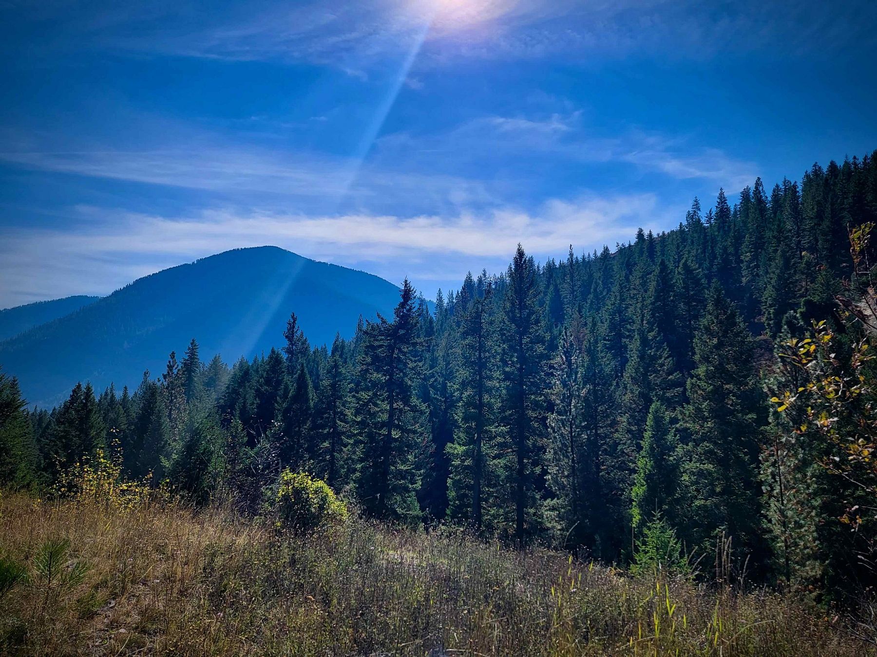 473 Acres of Recreational Land for Sale in Superior, Montana LandSearch