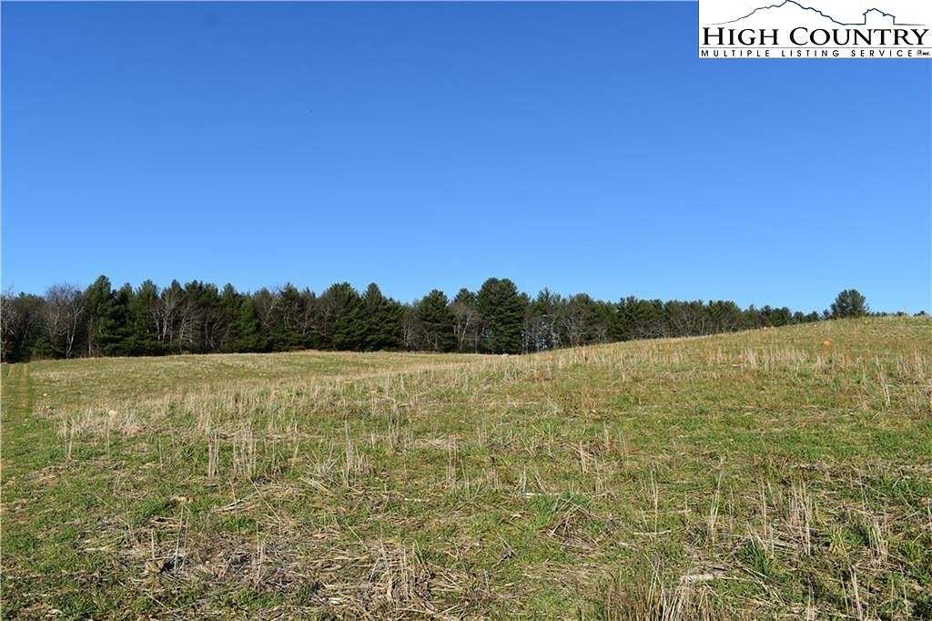 53.4 Acres of Agricultural Land for Sale in Piney Creek, North Carolina