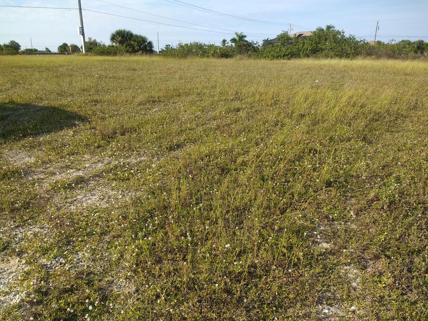 0.23 Acres of Residential Land for Sale in Cape Coral, Florida