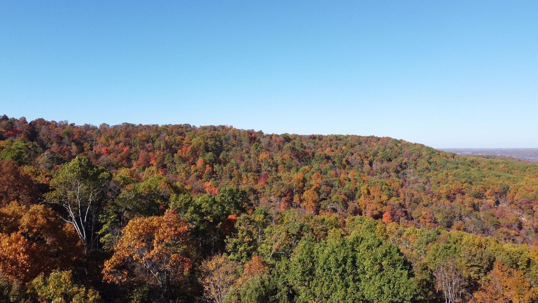 65 Acres of Recreational Land for Sale in Omaha, Arkansas
