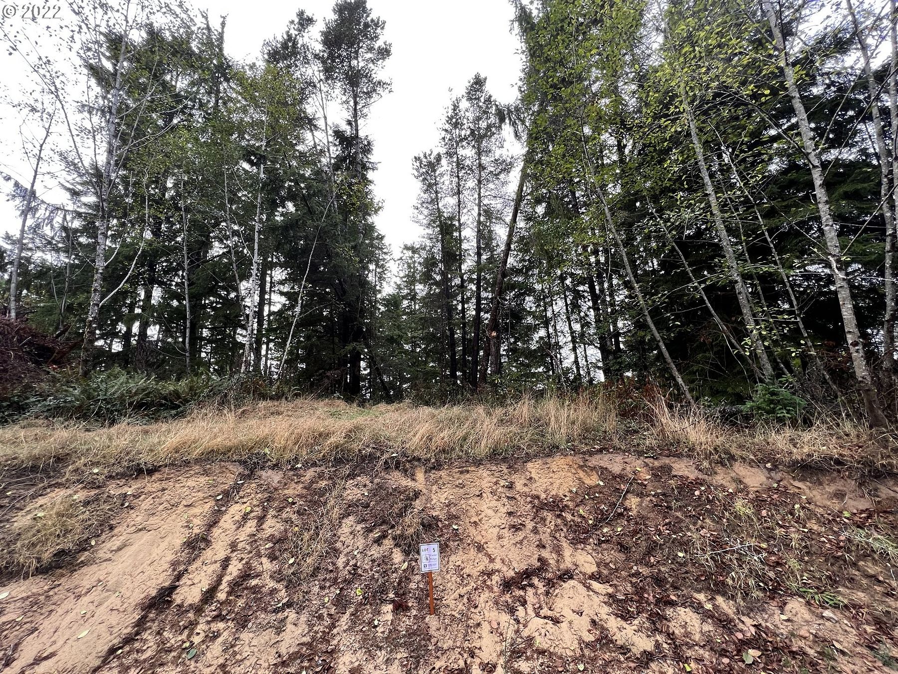 1 Acre of Residential Land for Sale in Florence, Oregon
