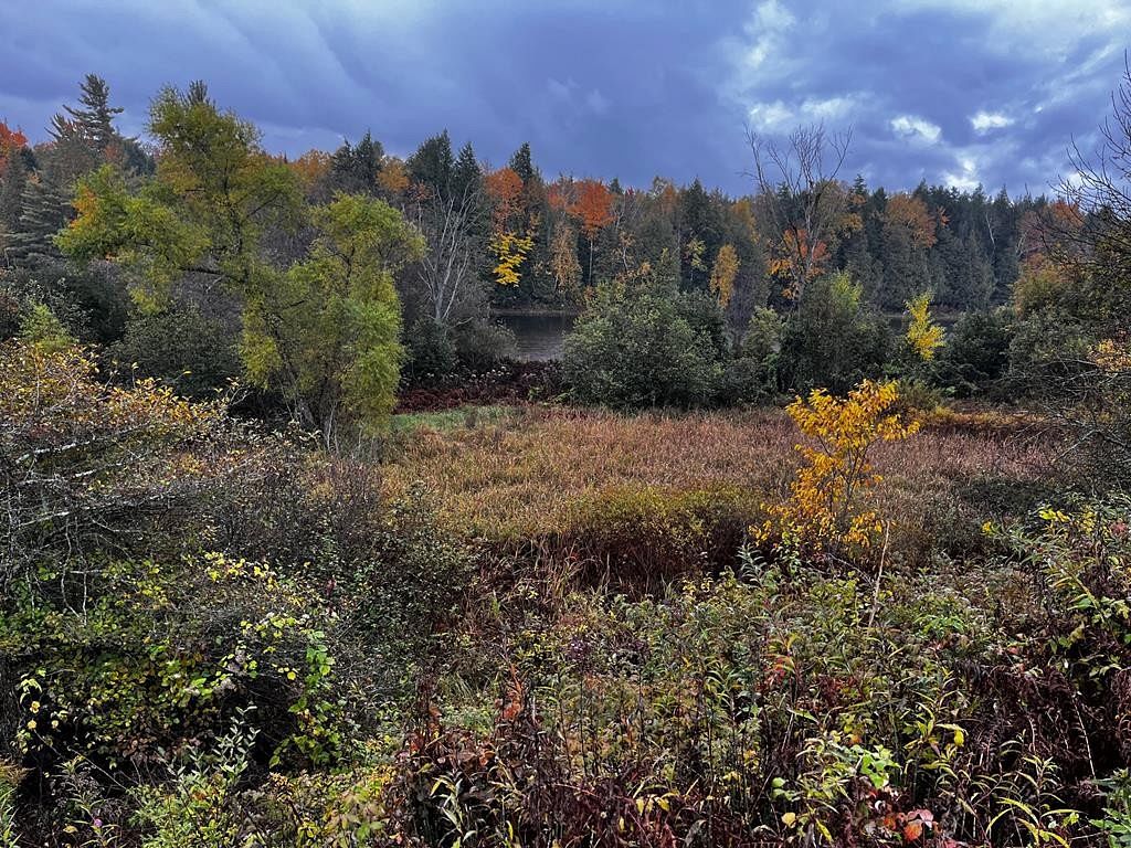 2.5 Acres of Residential Land for Sale in Saranac, New York
