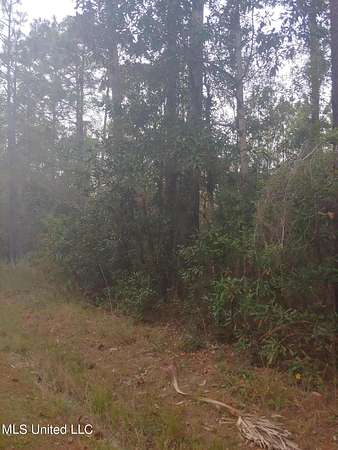 0.23 Acres of Residential Land for Sale in Bay St. Louis, Mississippi