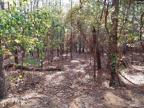 9 Acres of Land for Sale in Lexington, South Carolina