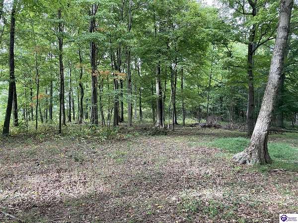 13.2 Acres of Recreational Land for Sale in Battletown, Kentucky