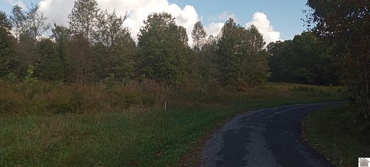 44.9 Acres of Land for Sale in Eddyville, Kentucky