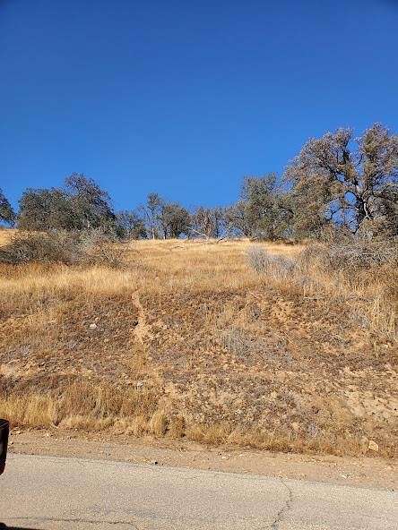 8.3 Acres of Residential Land for Sale in Squaw Valley, California