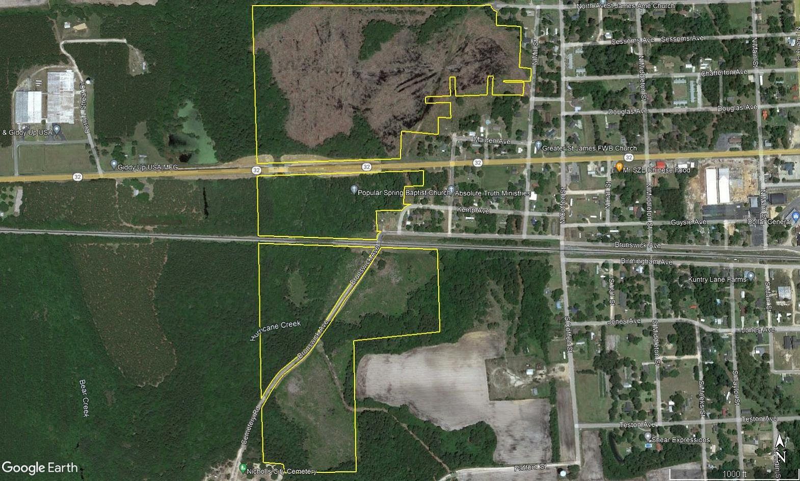 98.6 Acres of Land for Sale in Nicholls, LandSearch