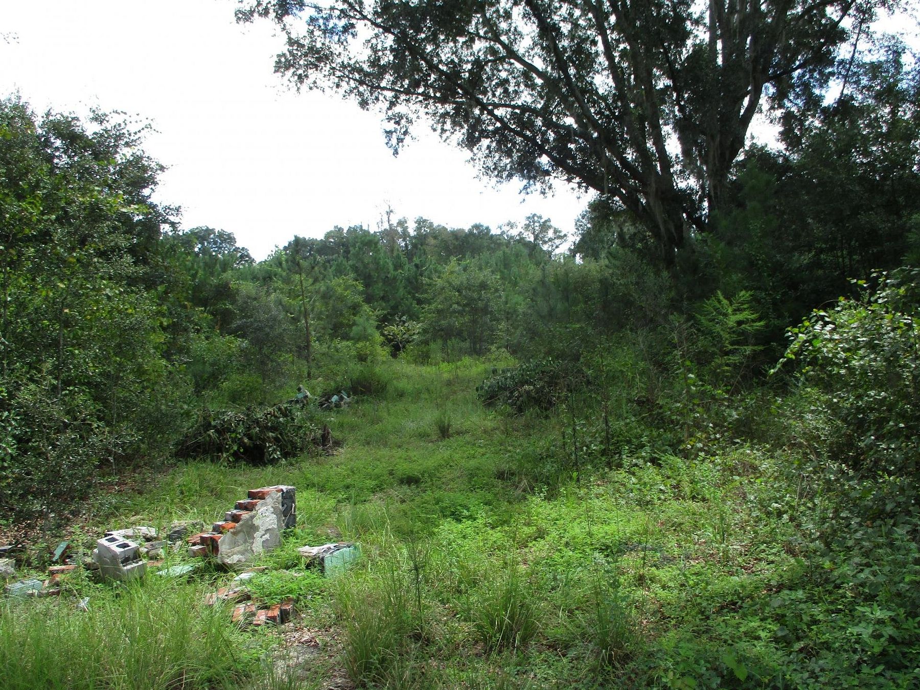 98.6 Acres of Land for Sale in Nicholls, LandSearch