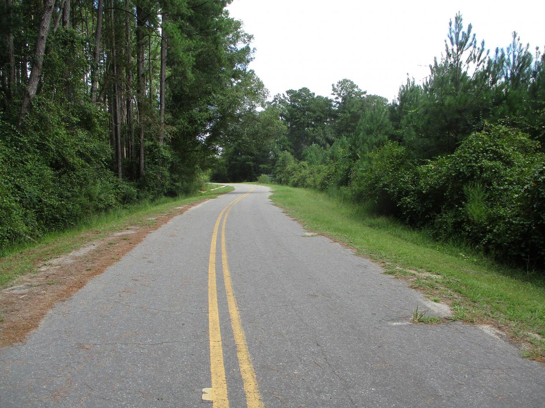 98.6 Acres of Land for Sale in Nicholls, LandSearch