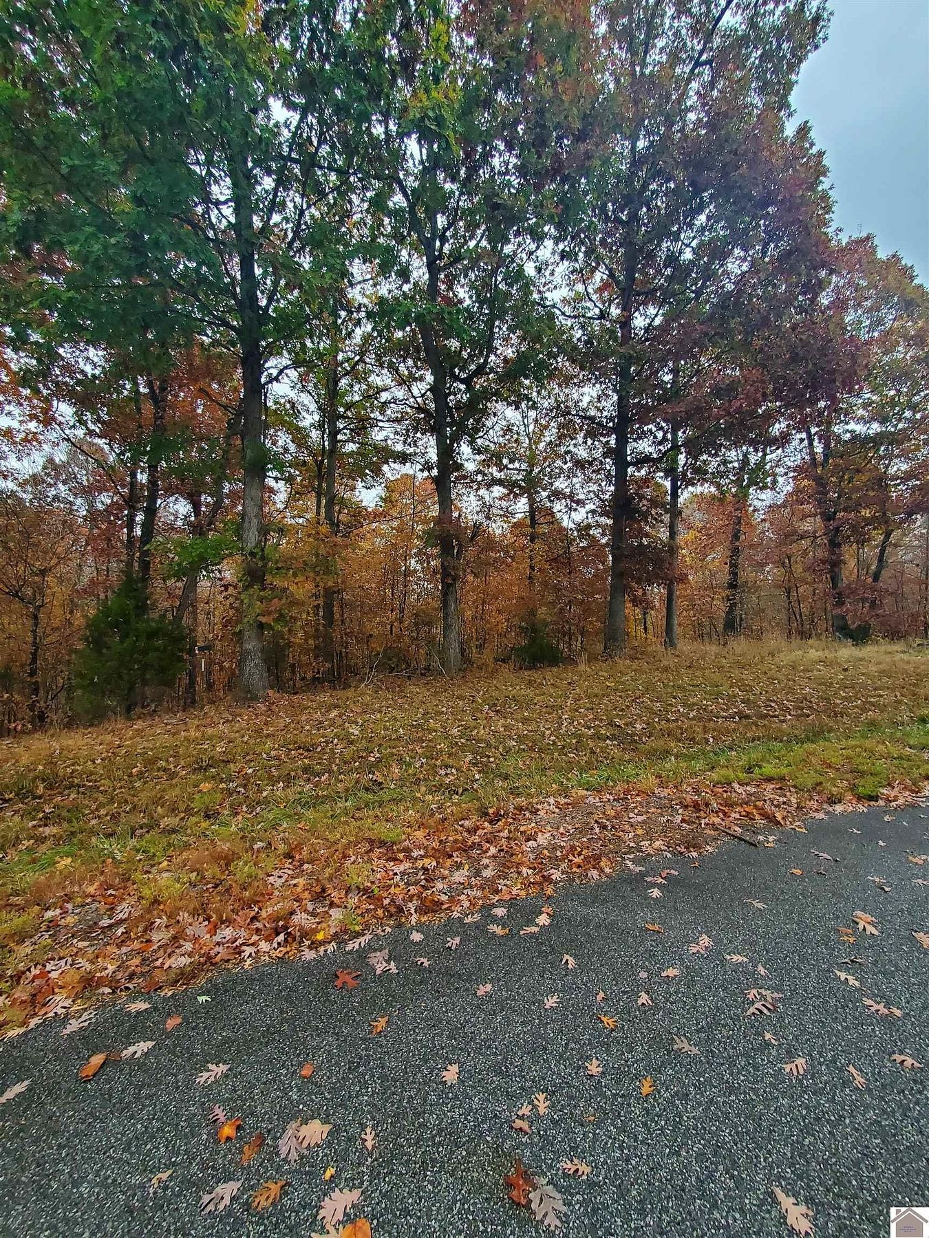 6 Acres of Residential Land for Sale in Eddyville, Kentucky