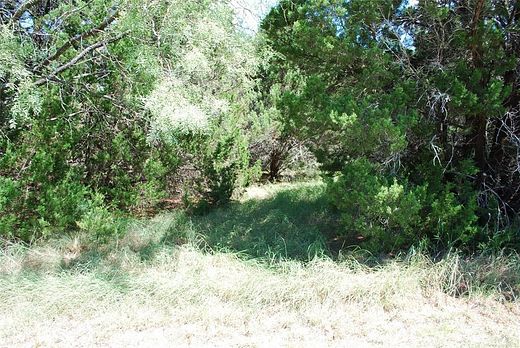 0.22 Acres of Residential Land for Sale in Whitney, Texas