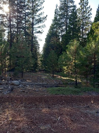 1.25 Acres of Residential Land for Sale in Alturas, California