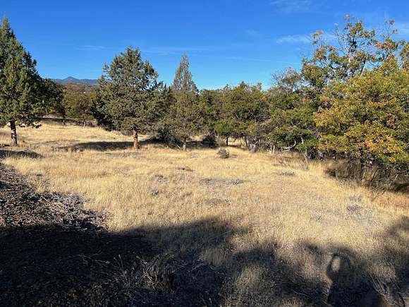1 Acre of Residential Land for Sale in Hornbrook, California