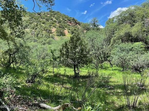 54 Acres of Land for Sale in Patagonia, Arizona