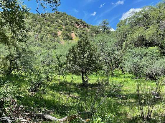 54 Acres of Improved Land for Sale in Patagonia, Arizona