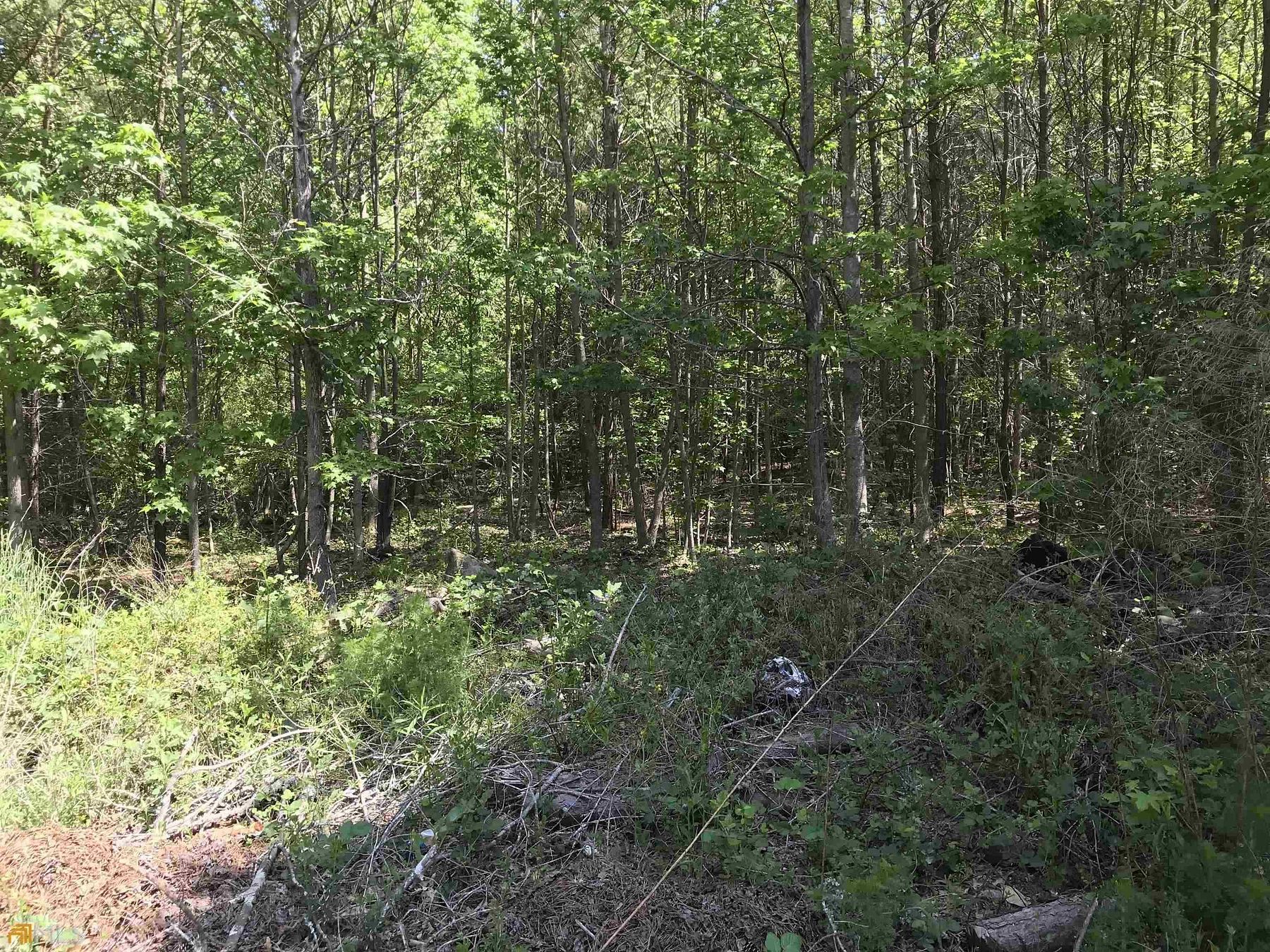 17.4 Acres of Land for Sale in South Fulton, Georgia