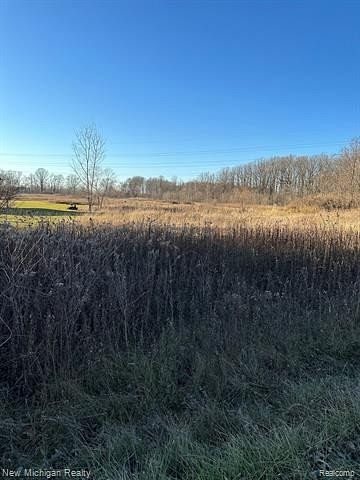 11.2 Acres of Land for Sale in Chesterfield, Michigan