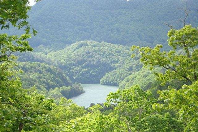 2.5 Acres of Residential Land for Sale in Bryson City, North Carolina