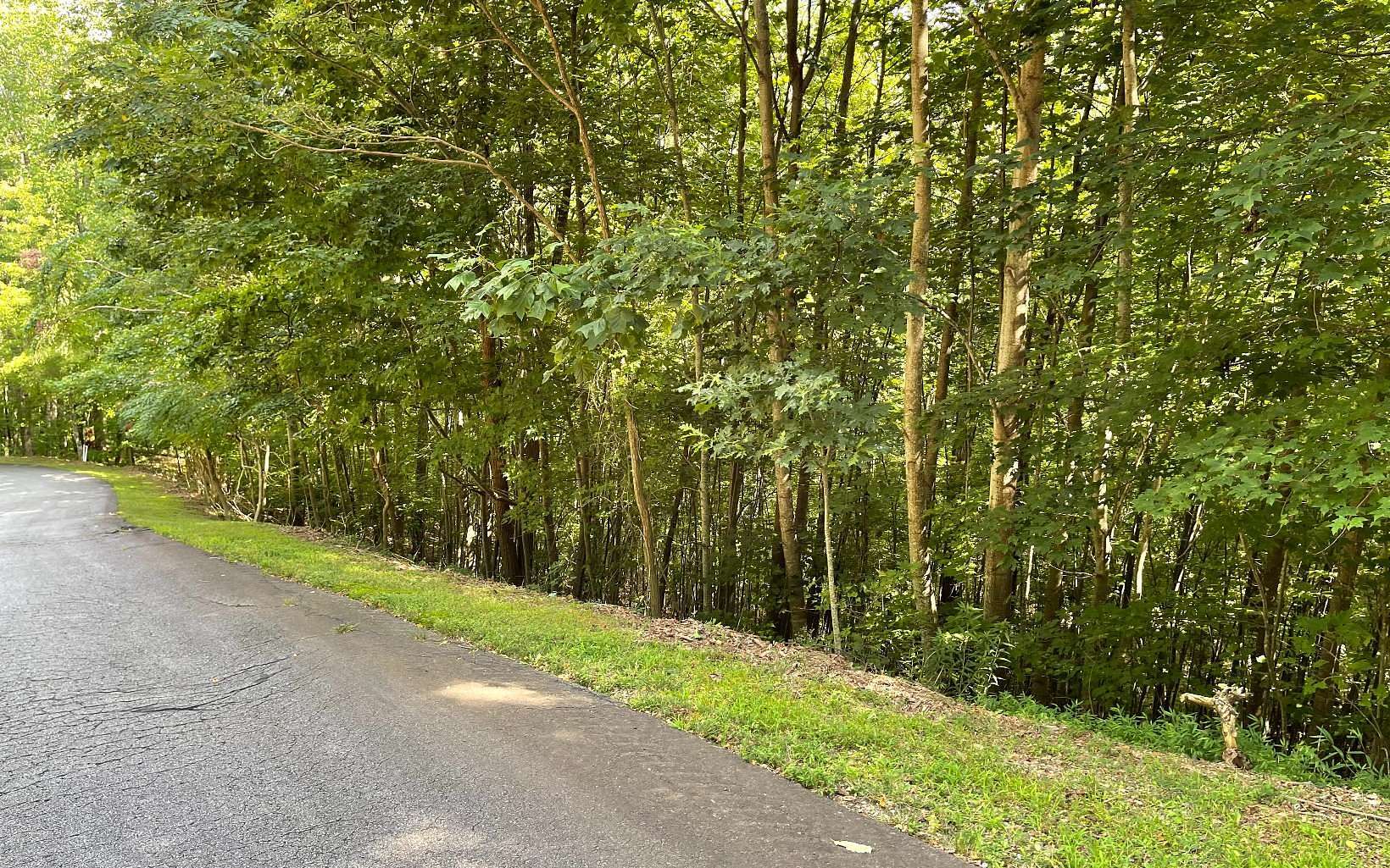 2 Acres of Residential Land for Sale in Young Harris, Georgia
