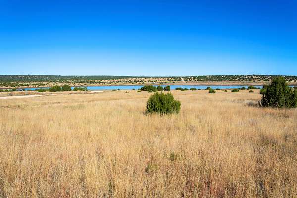 1.3 Acres of Residential Land for Sale in Concho, Arizona