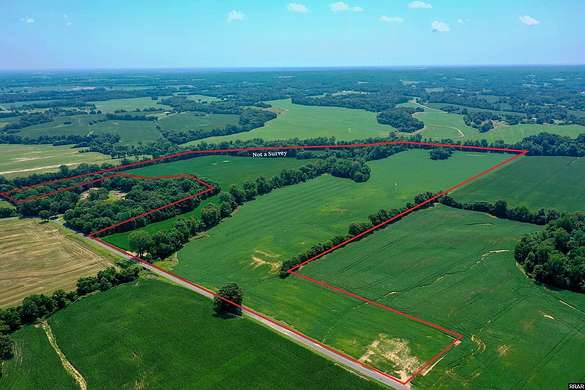 117 Acres of Agricultural Land for Sale in Union City, Tennessee