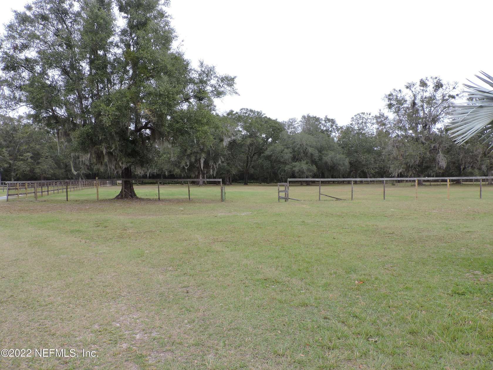 17.6 Acres of Land for Sale in Green Cove Springs, Florida