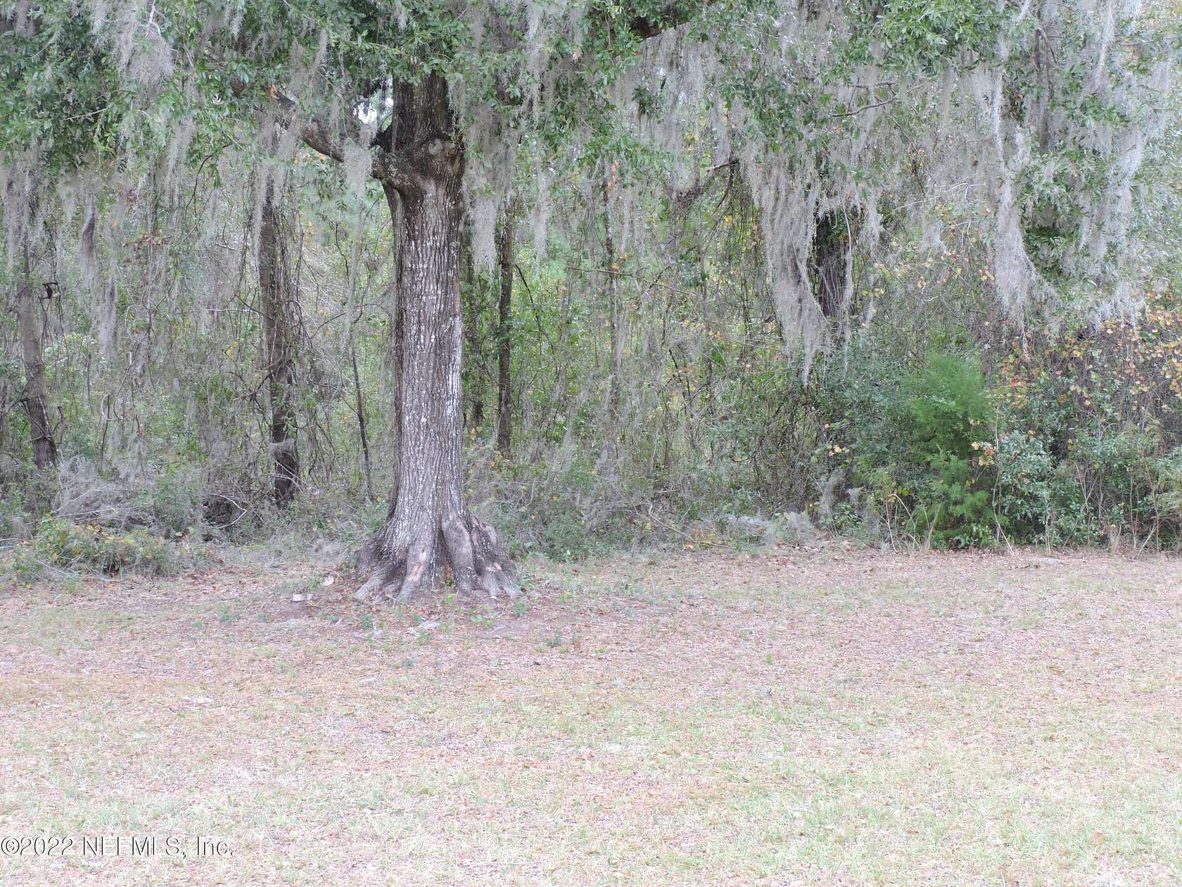 17.6 Acres of Land for Sale in Green Cove Springs, Florida