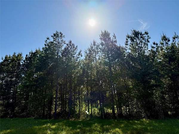 1 Acre of Residential Land for Sale in Princeton, Louisiana