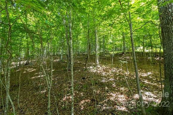 4.5 Acres of Land for Sale in Spruce Pine, North Carolina