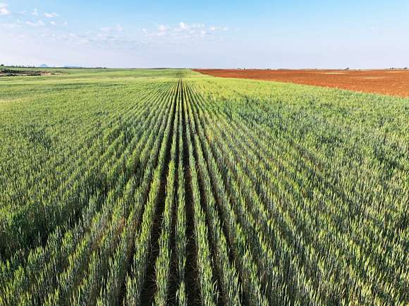 722 Acres of Recreational Land & Farm for Sale in Dove Creek, Colorado