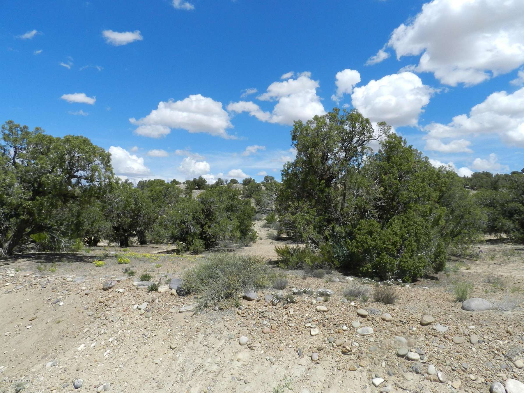 1.1 Acres of Residential Land for Sale in Farmington, New Mexico